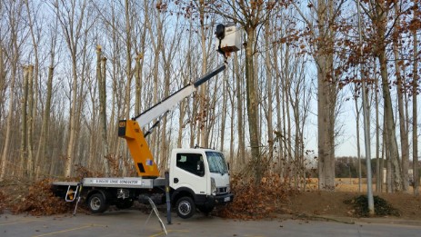 TRABAJANDO CON CAMION CESTA EN JARDINERIA