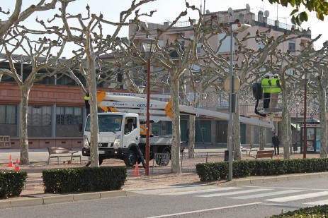 colocando adornos en los arboles con camion cesta