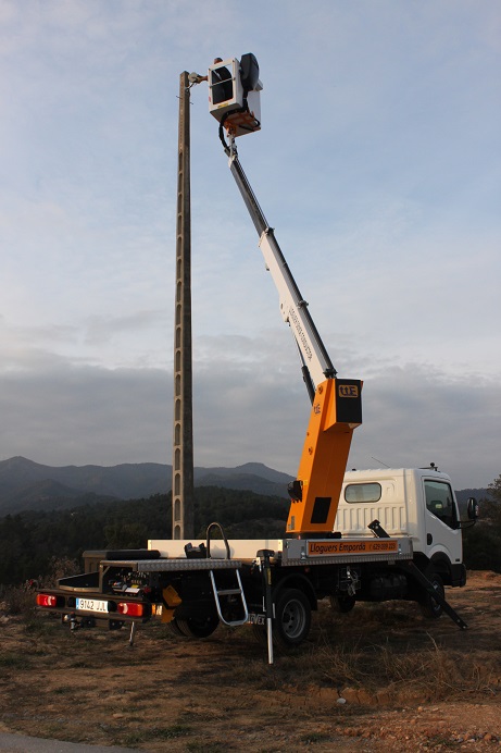 alquilando camion cesta para trabajos